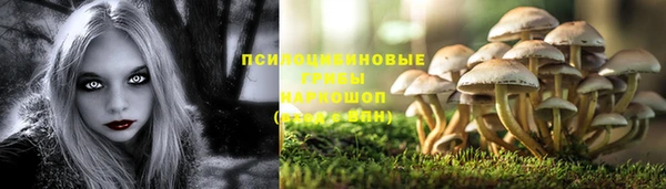 твердый Абаза
