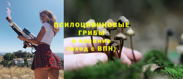 твердый Абаза