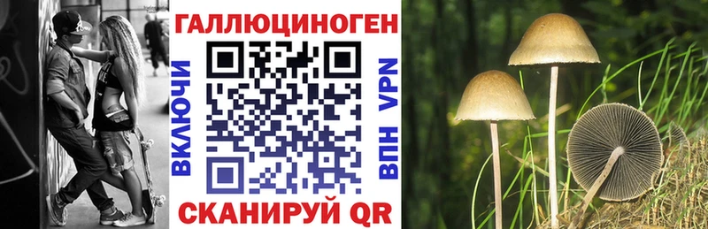 даркнет сайт Алейск Галлюциногенные грибы Cubensis