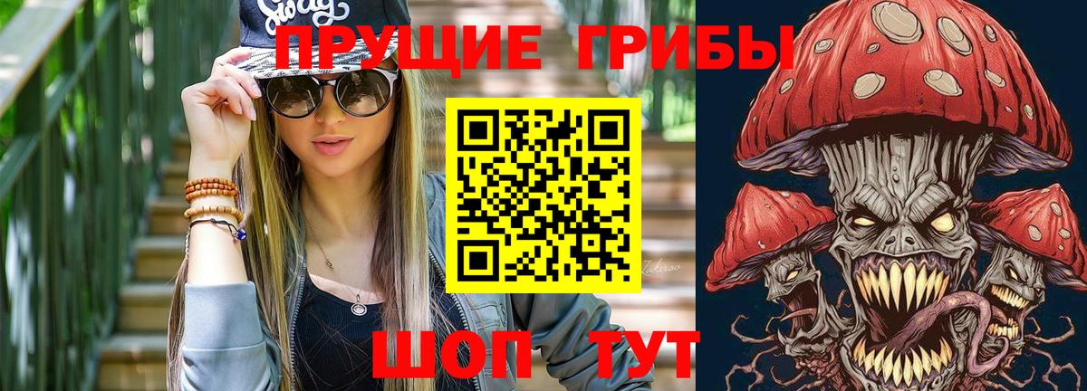 купить   Вход с VPN  Алейск  Галлюциногенные грибы Psilocybe 
